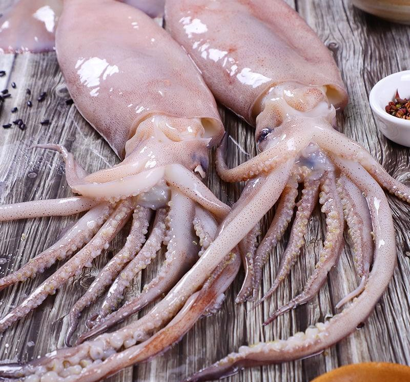 鱿鱼是一种软体动物，它们以什么为食，使用什么方式进食？