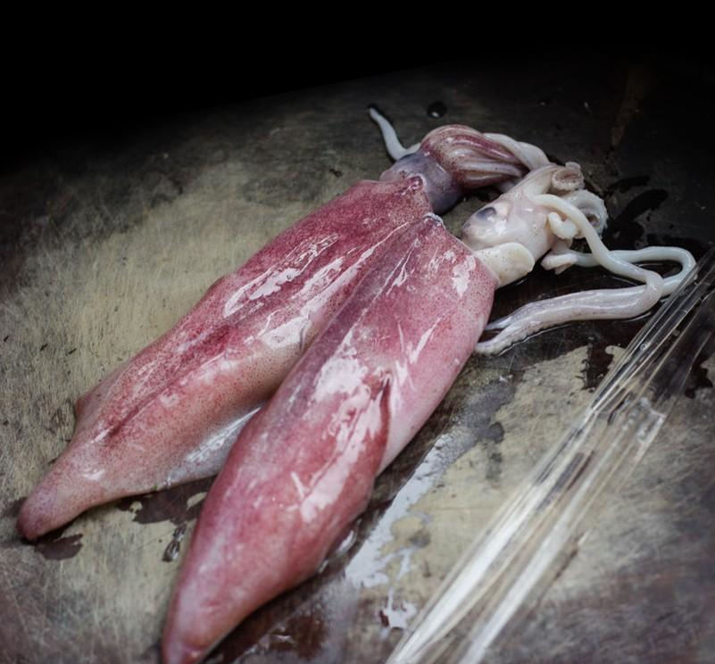 鱿鱼是一种软体动物，它们以什么为食，使用什么方式进食？